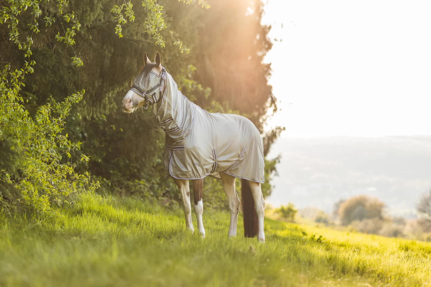 Horze La Pampa Fly Set - Image 17