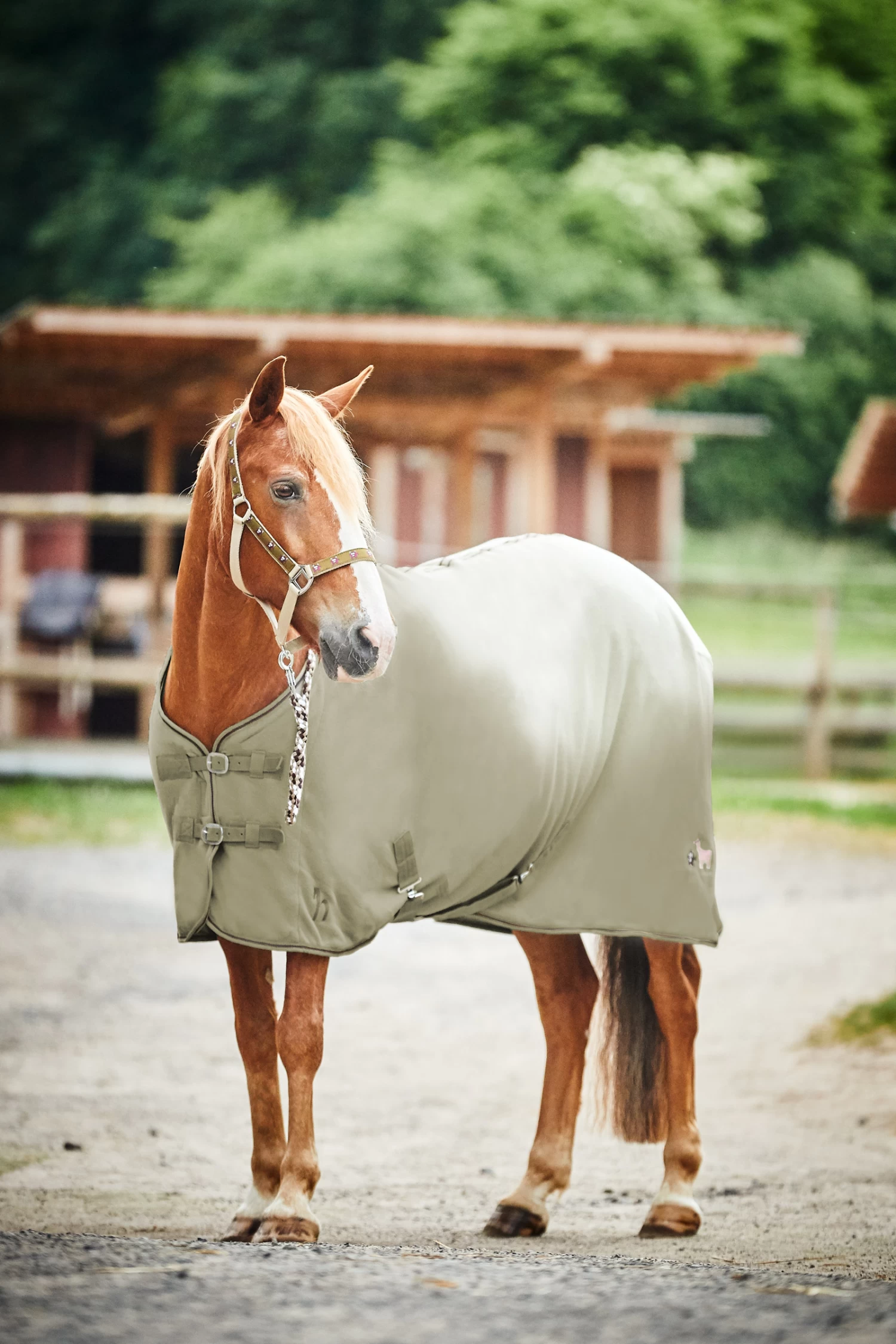 Horze Monster Pony Fleece Rug - Image 8