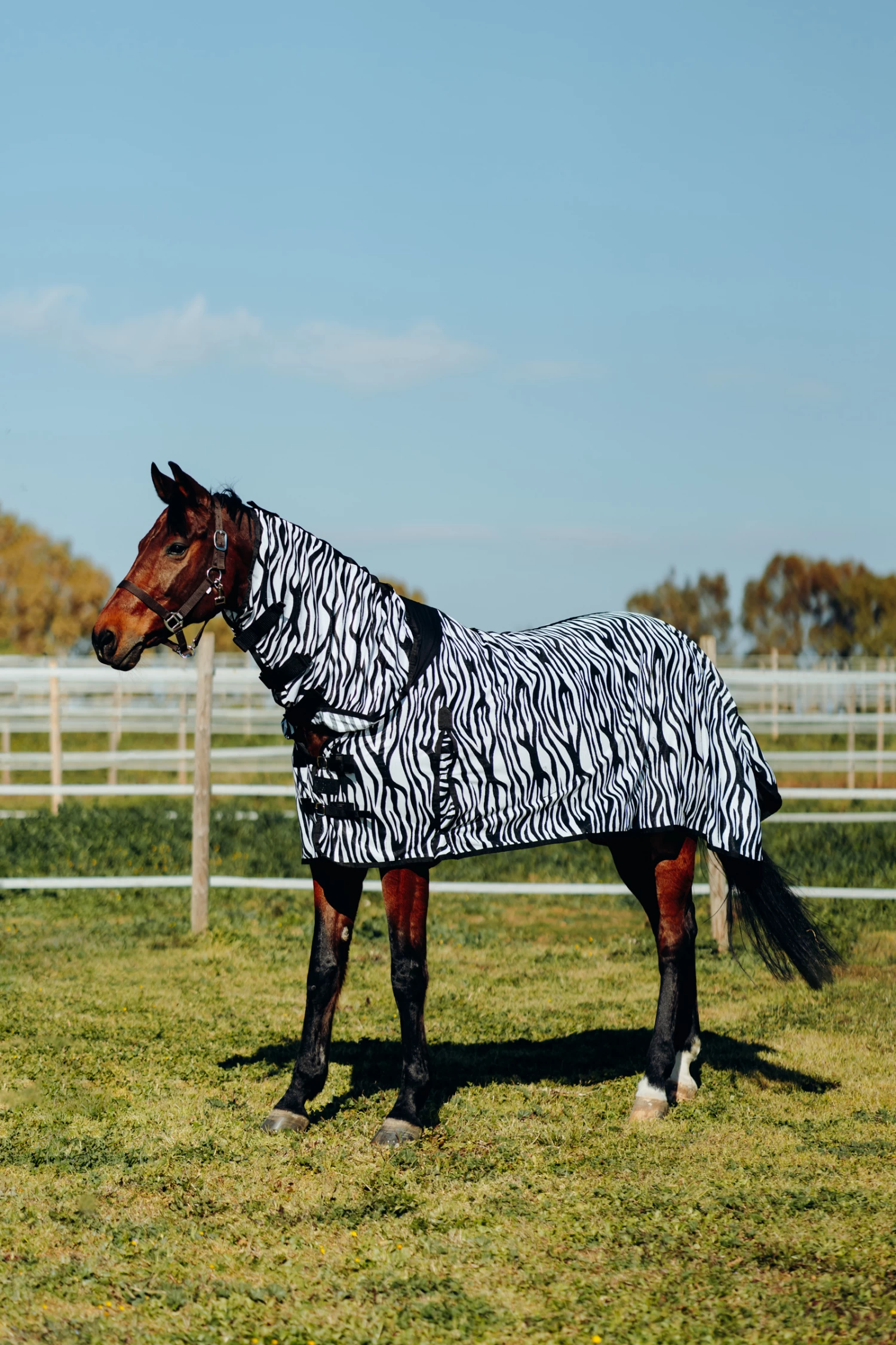 Horze Defender Fly Rug With Full Neck - Image 10