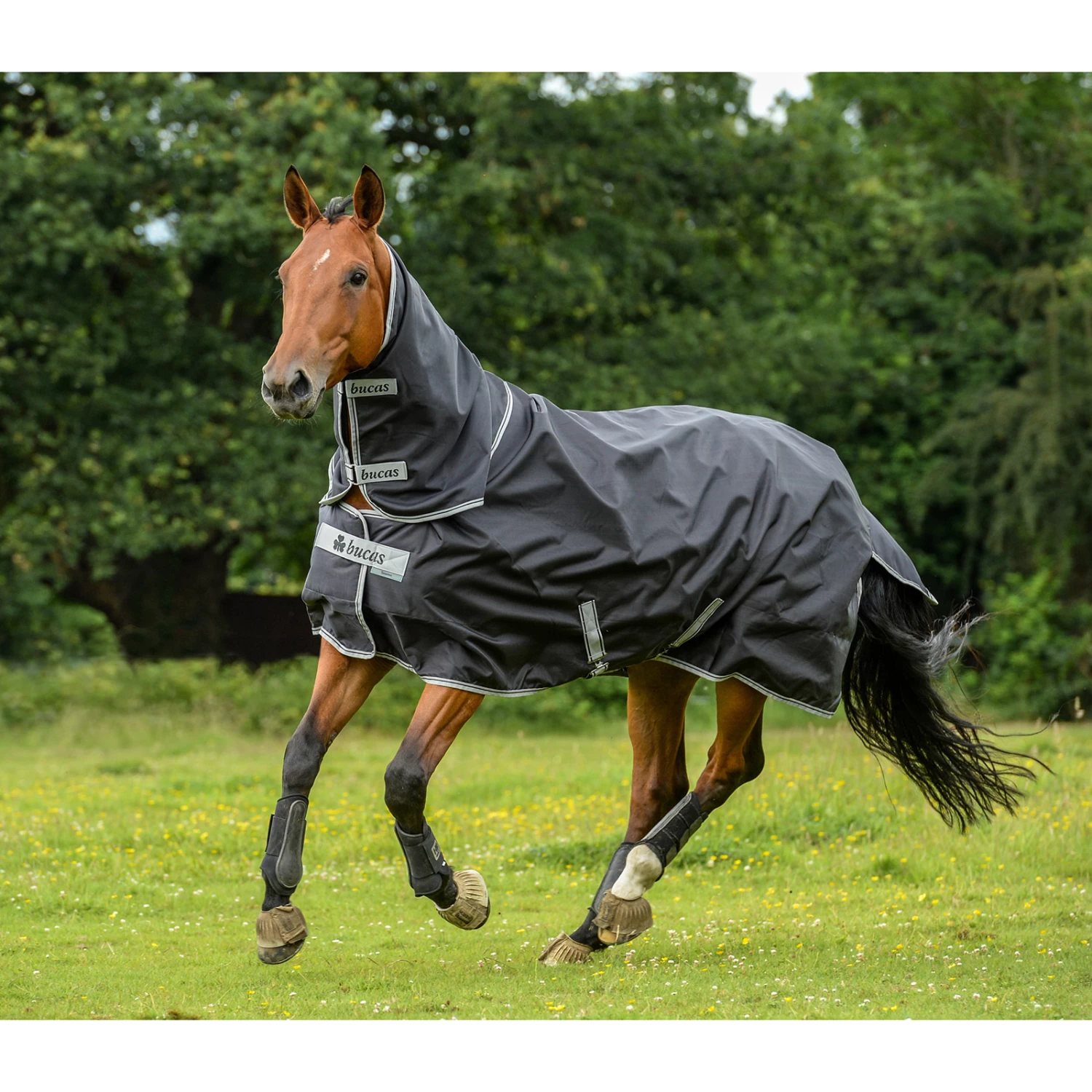 Bucas Smartex Combi Neck, 0g - Image 5