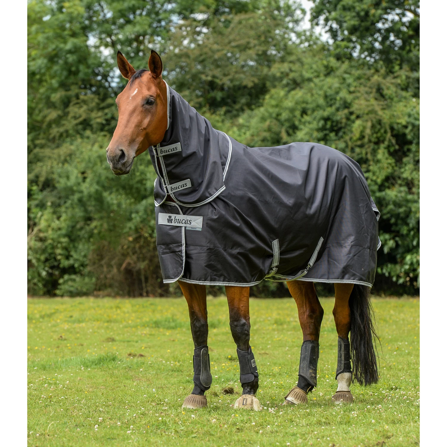 Bucas Smartex Combi Neck, 0g - Image 7