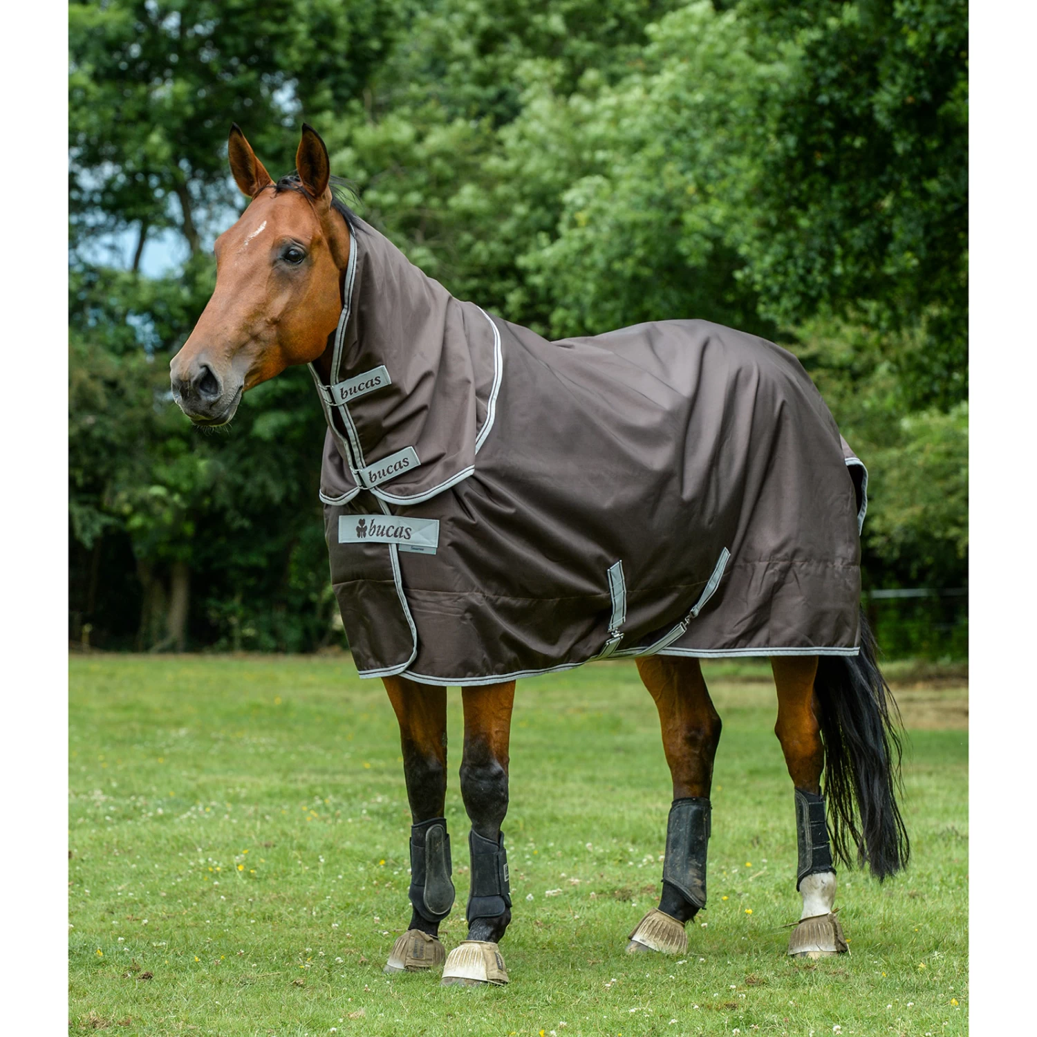 Bucas Smartex Combi Neck, 0g - Image 12