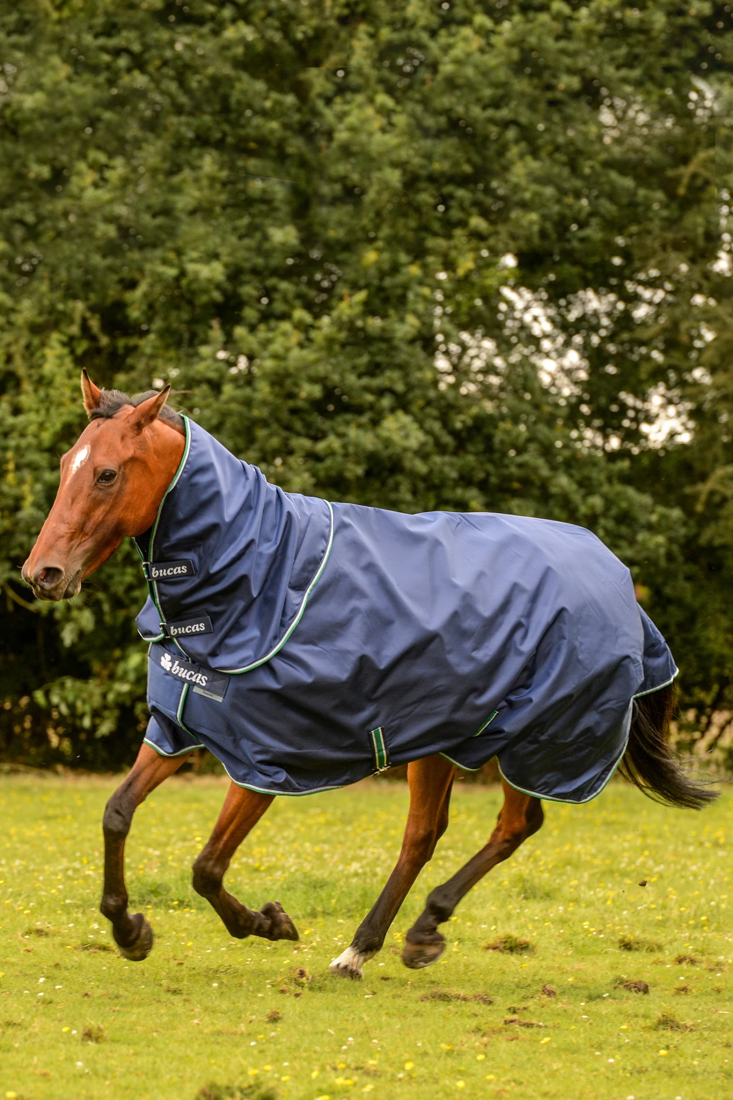 Bucas Smartex Combi Neck, 0g - Image 2