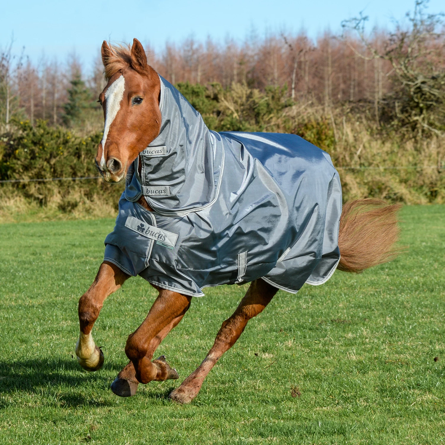 Bucas Smartex Combi Neck, 0g - Image 13