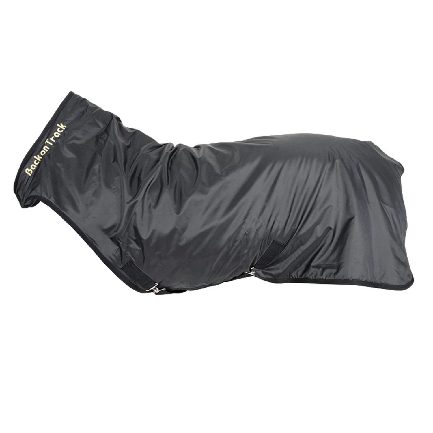 Back On Track Walker Rug