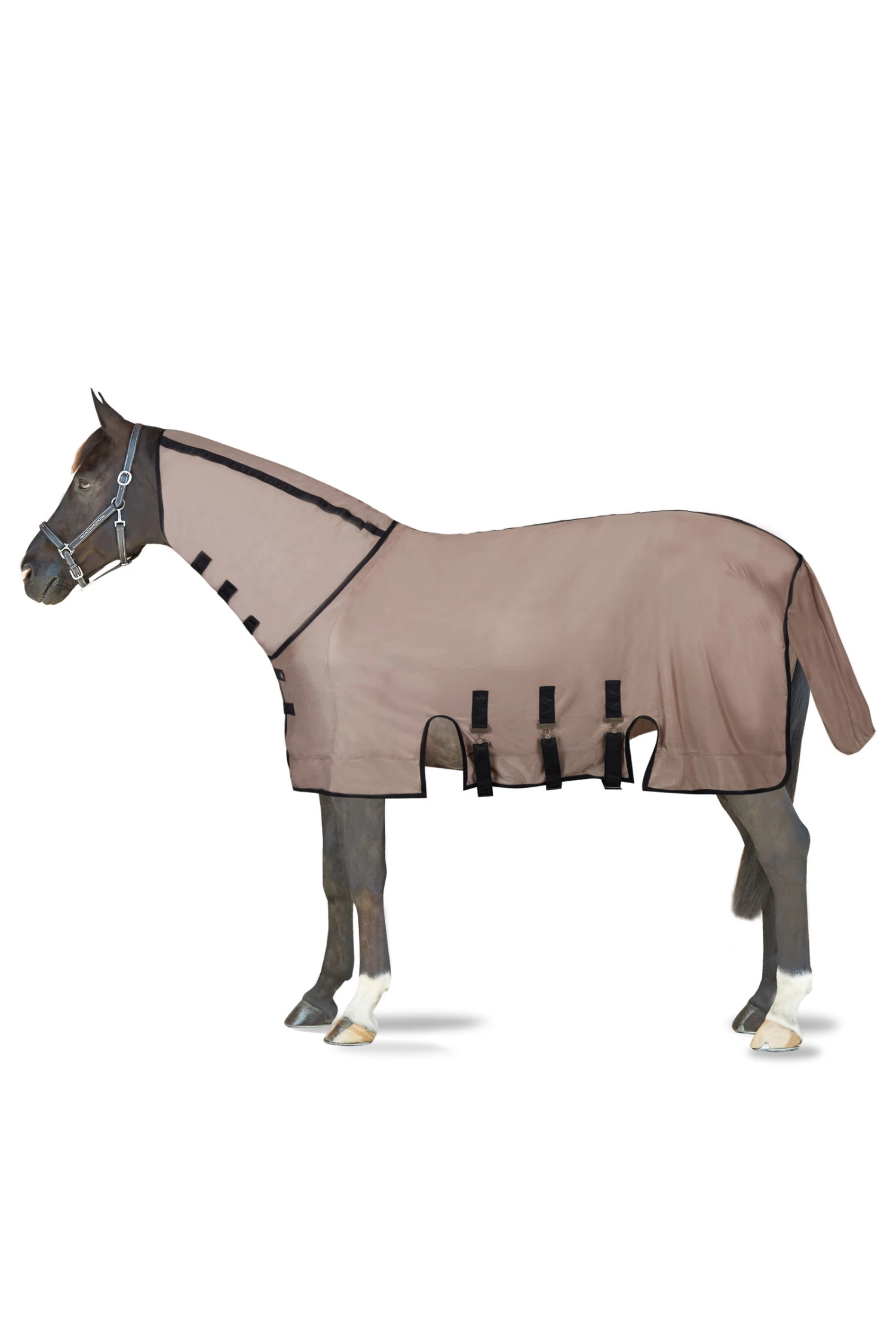 B Vertigo Delux Fly Rug With Detachable Neck And UV Protection