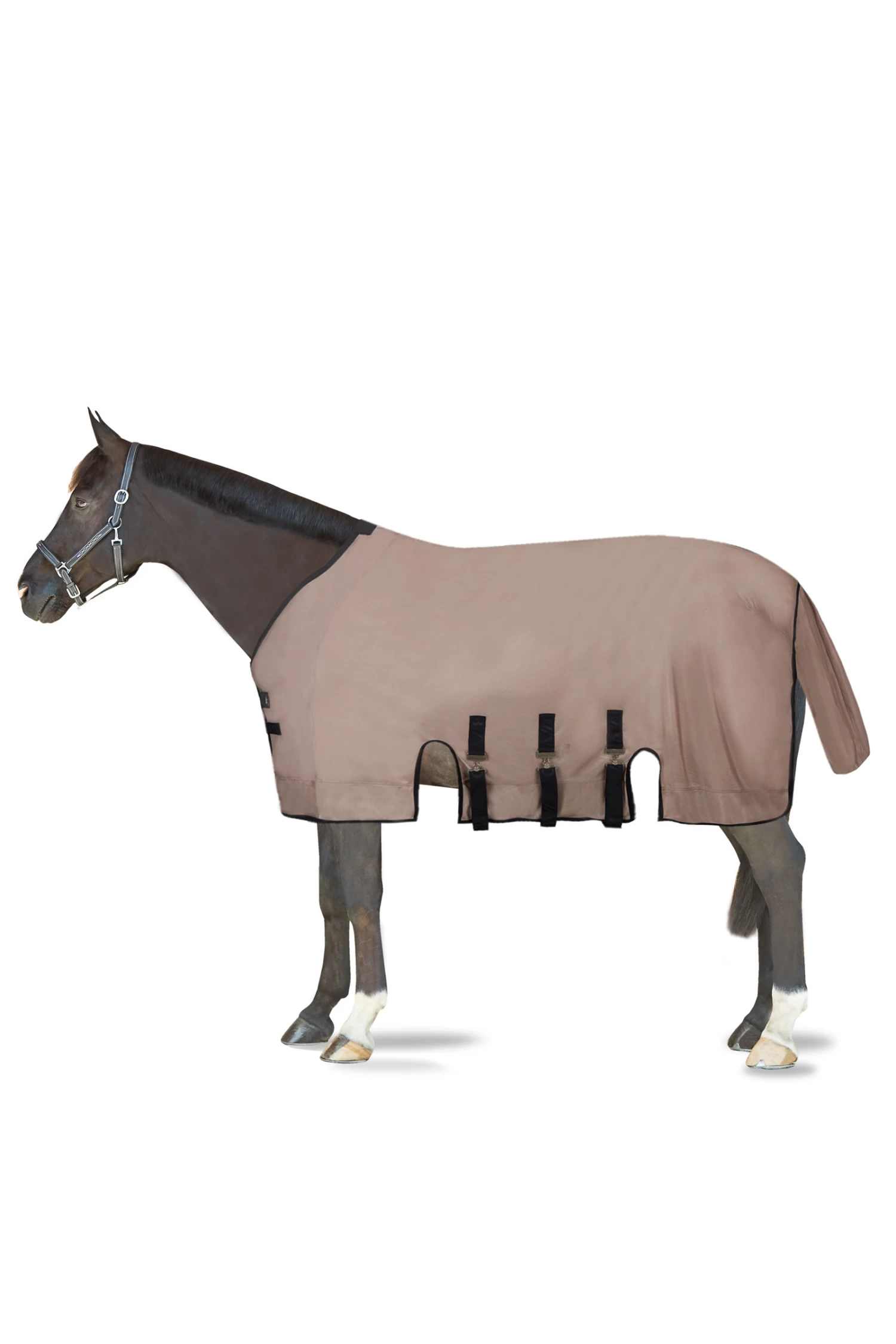 B Vertigo Delux Fly Rug With Detachable Neck And UV Protection - Image 2