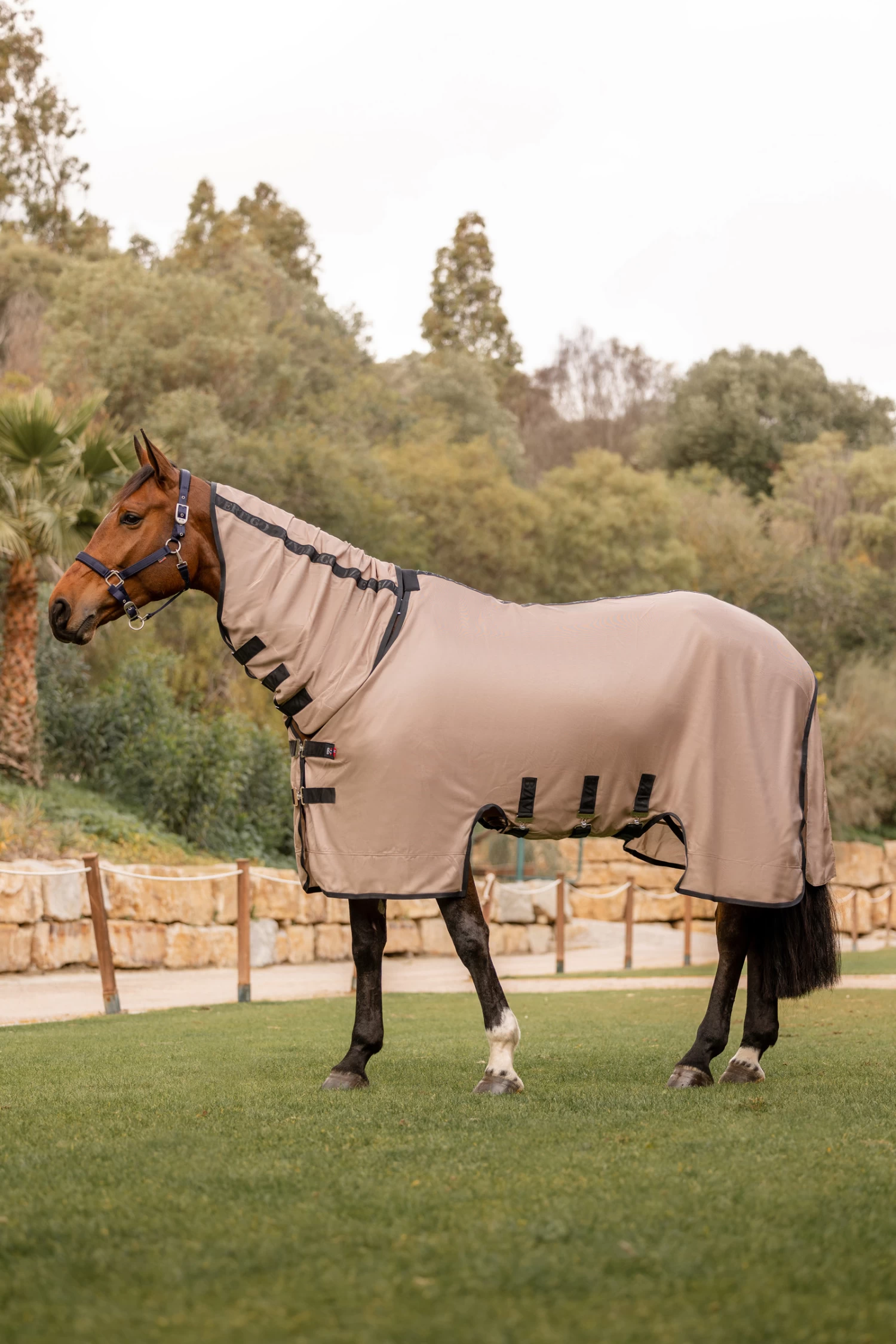 B Vertigo Delux Fly Rug With Detachable Neck And UV Protection - Image 6