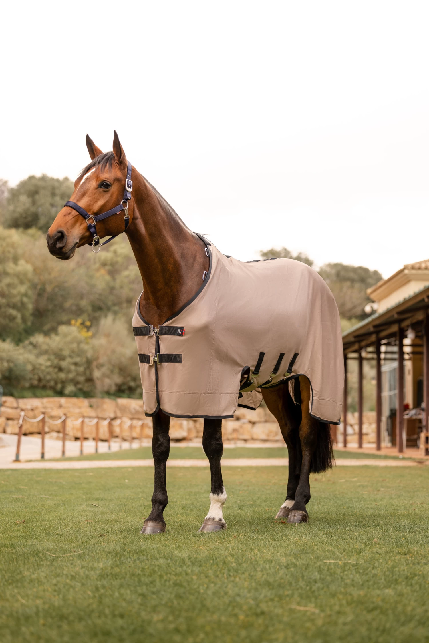 B Vertigo Delux Fly Rug With Detachable Neck And UV Protection - Image 7