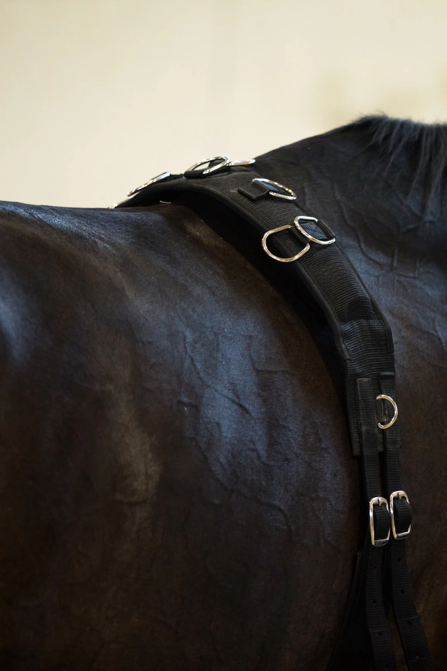 Horze Lunging Girth, Nylon - Image 2