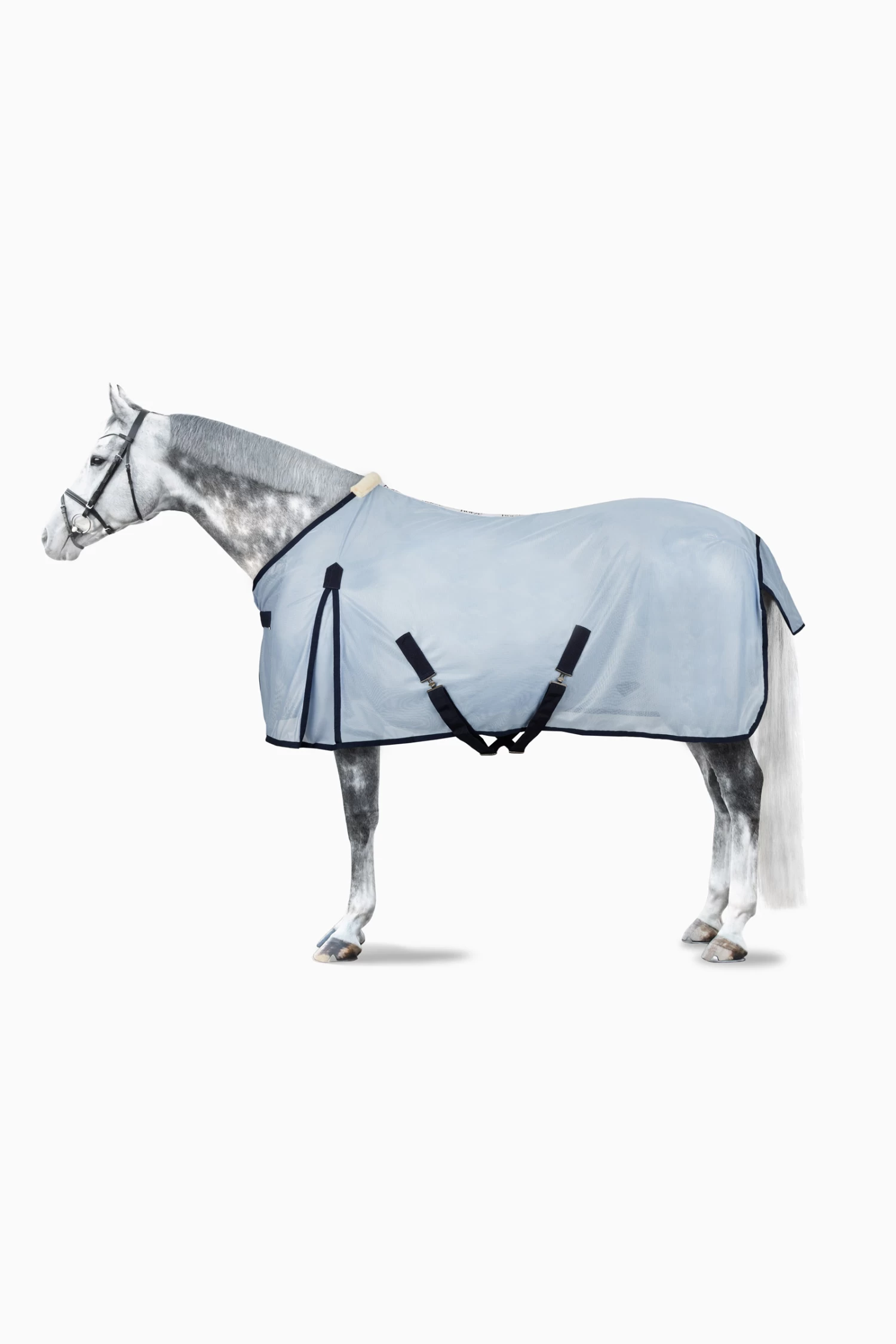 Horze Colourful Fly Rug - Image 4