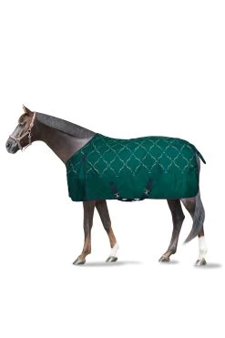 Horze Turnout Rug With Bit Print, 200g