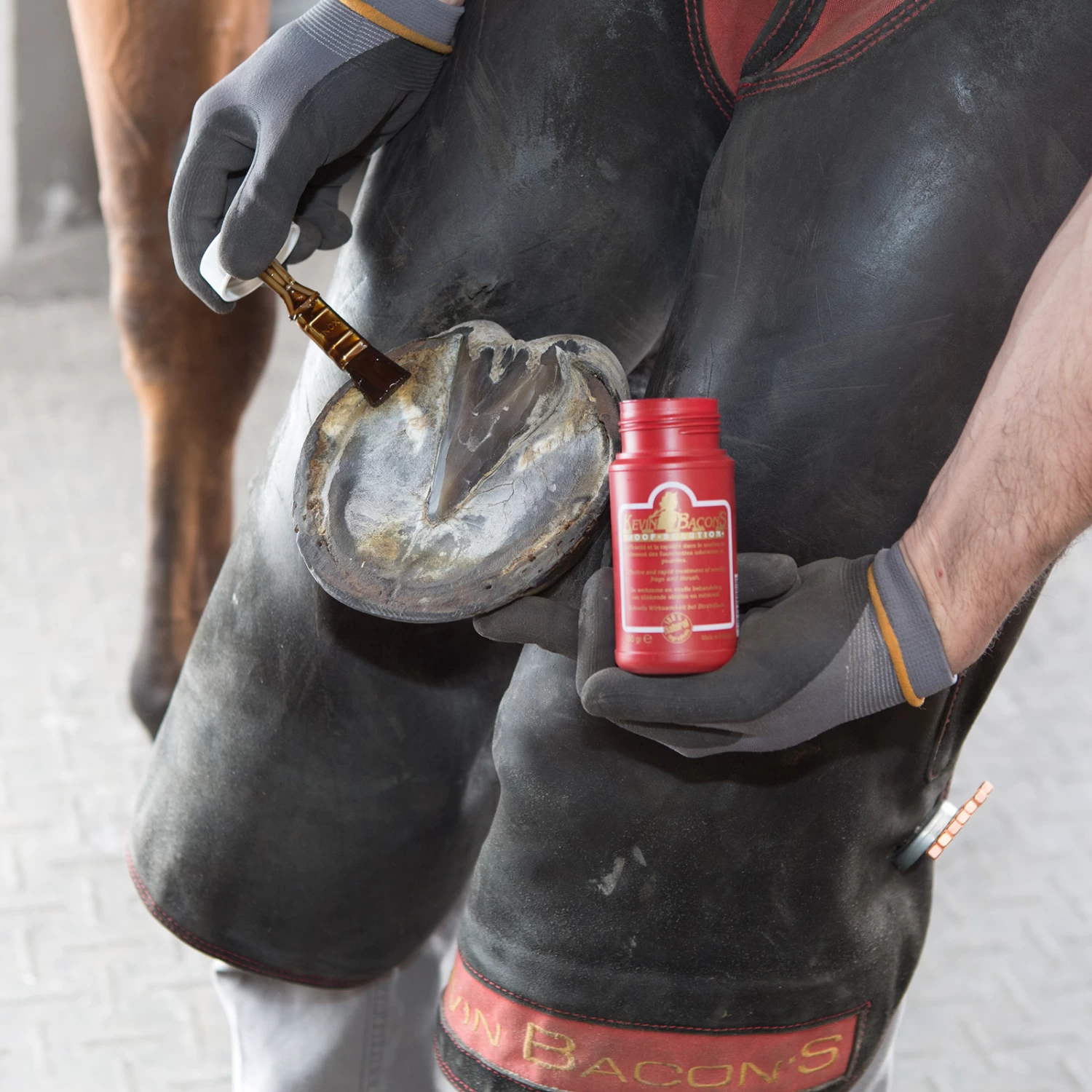 Kevin Bacon's Hoof Solution - Image 2