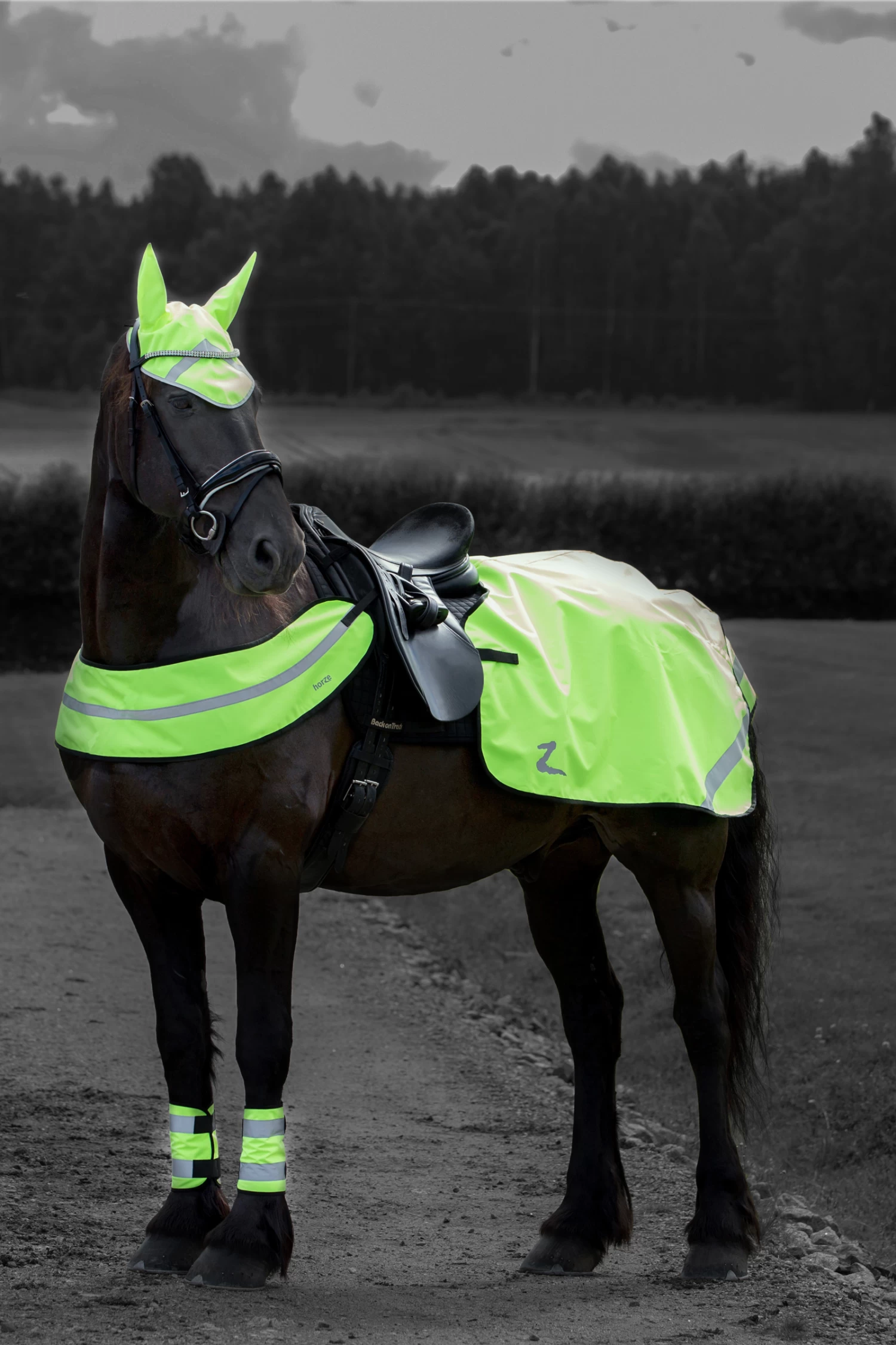 Horze Reflective Riding Blanket - Image 10
