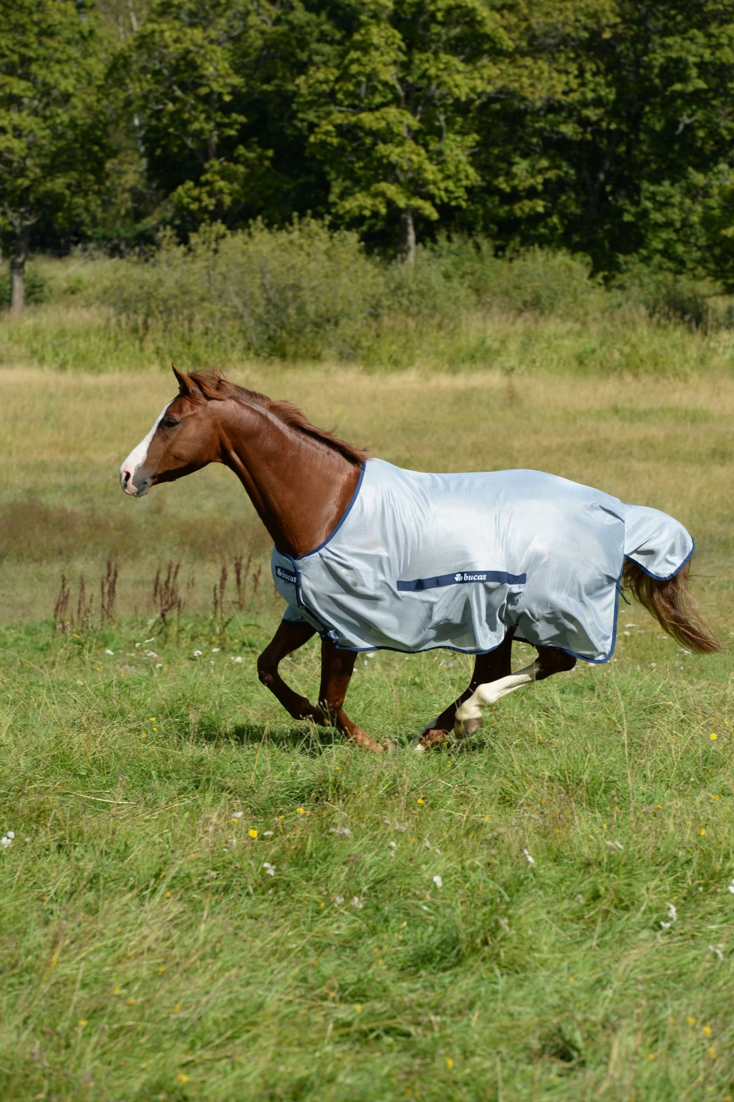 Bucas Buzz-Off Classic Fly Rug - Image 2
