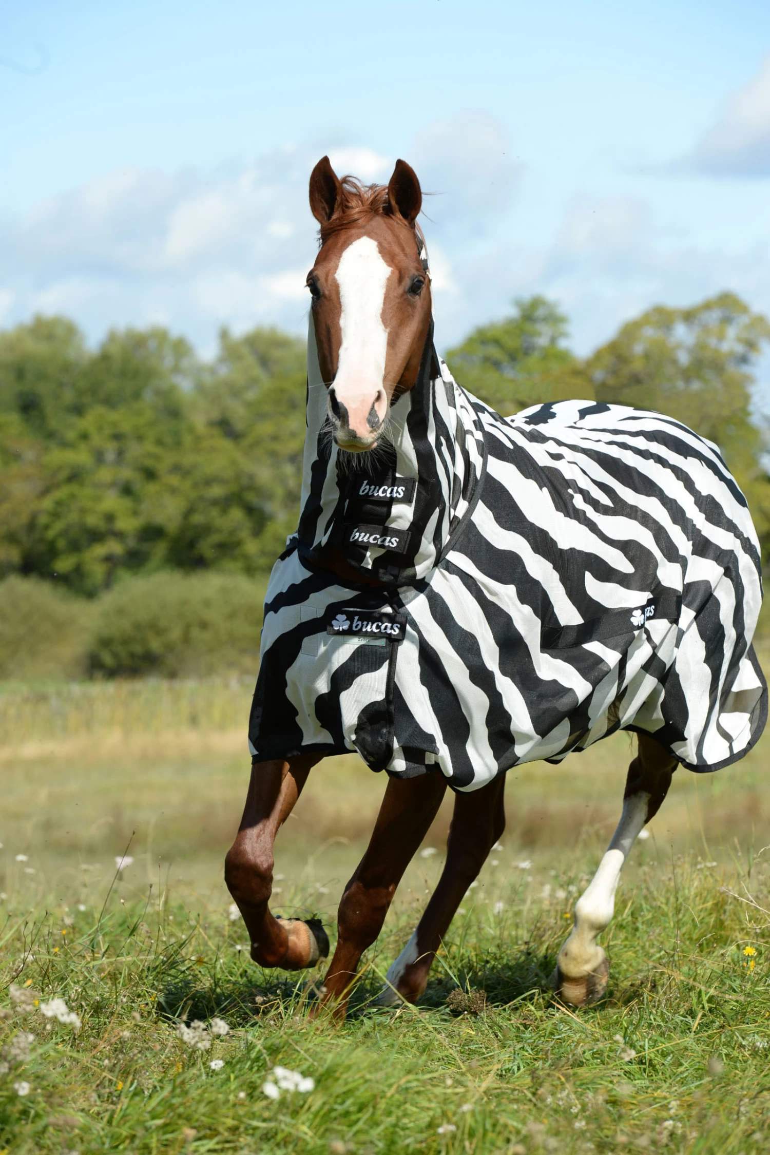 Bucas Buzz Off Full-Neck Zebra Fly Rug - Image 2