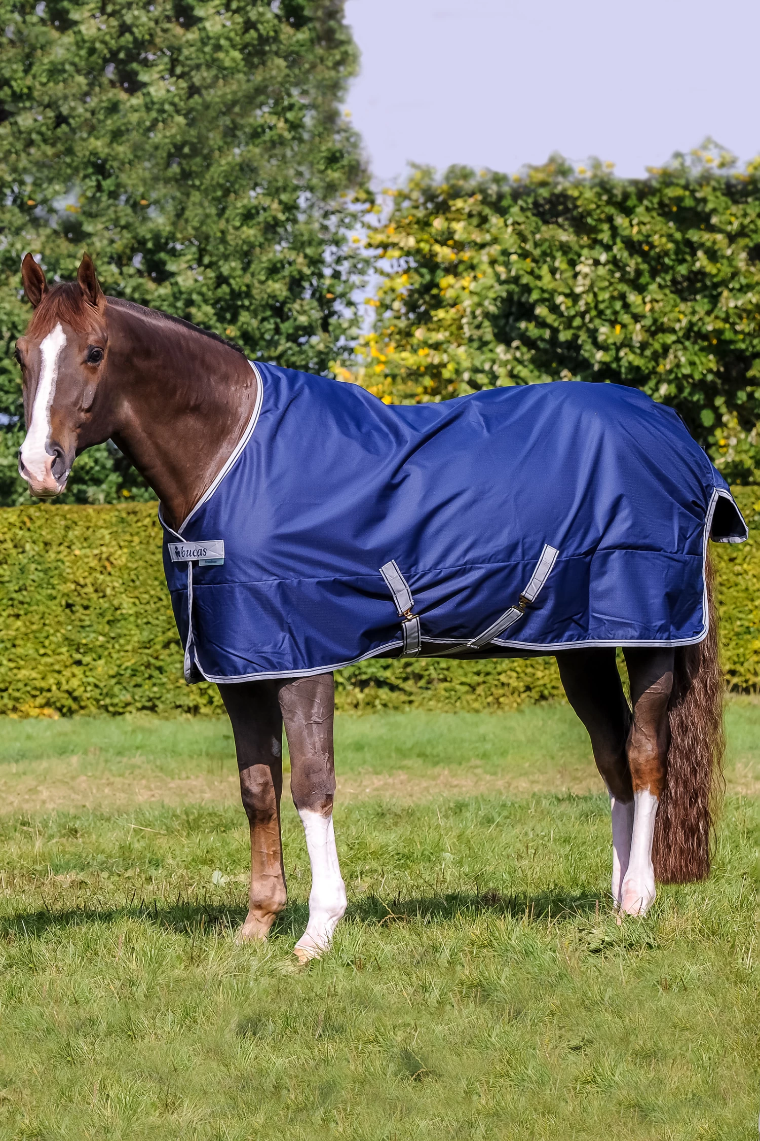 Bucas Freedom Turnout 150g, Pony Rug - Image 2