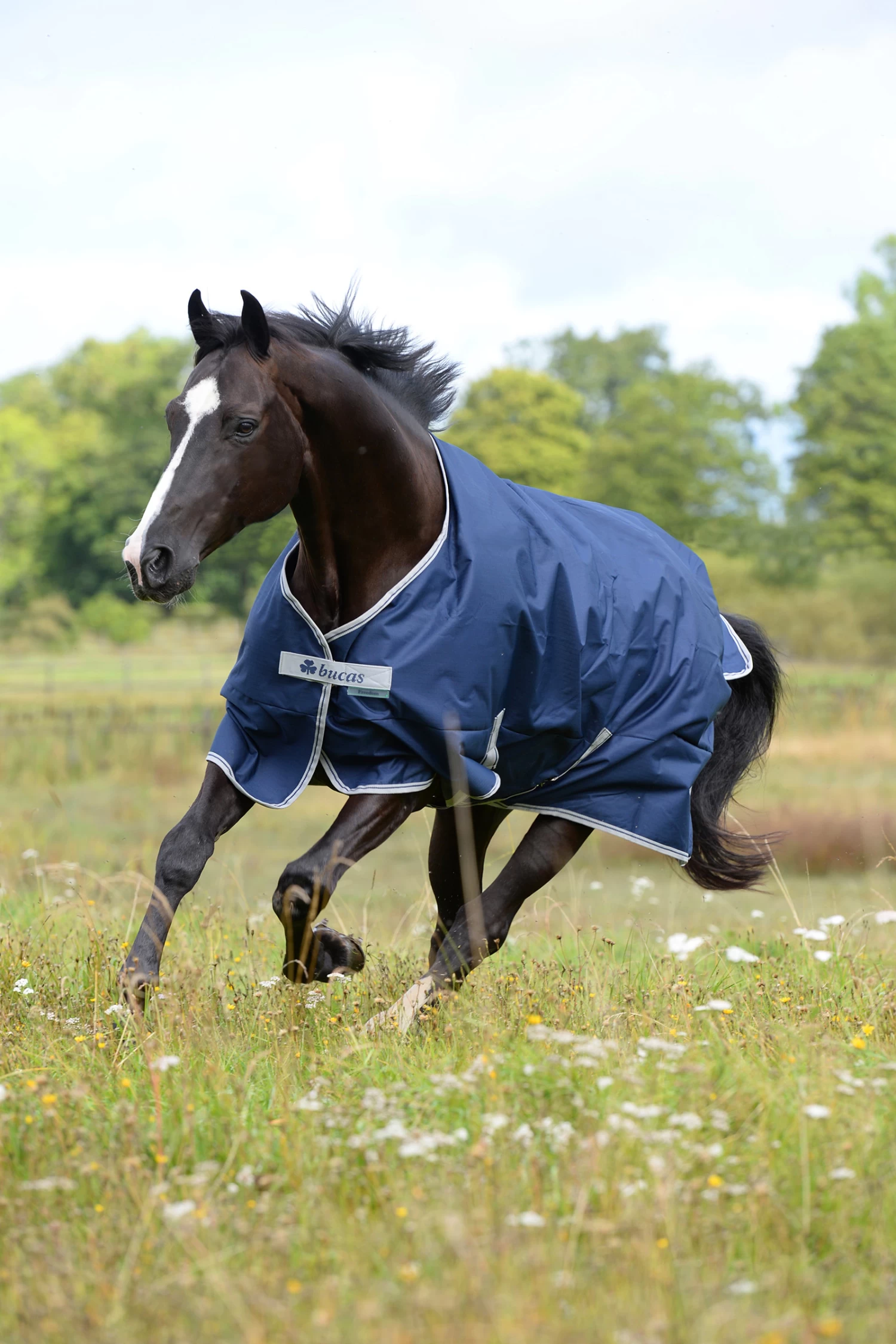 Bucas Freedom Turnout Rug, 300g - Image 3
