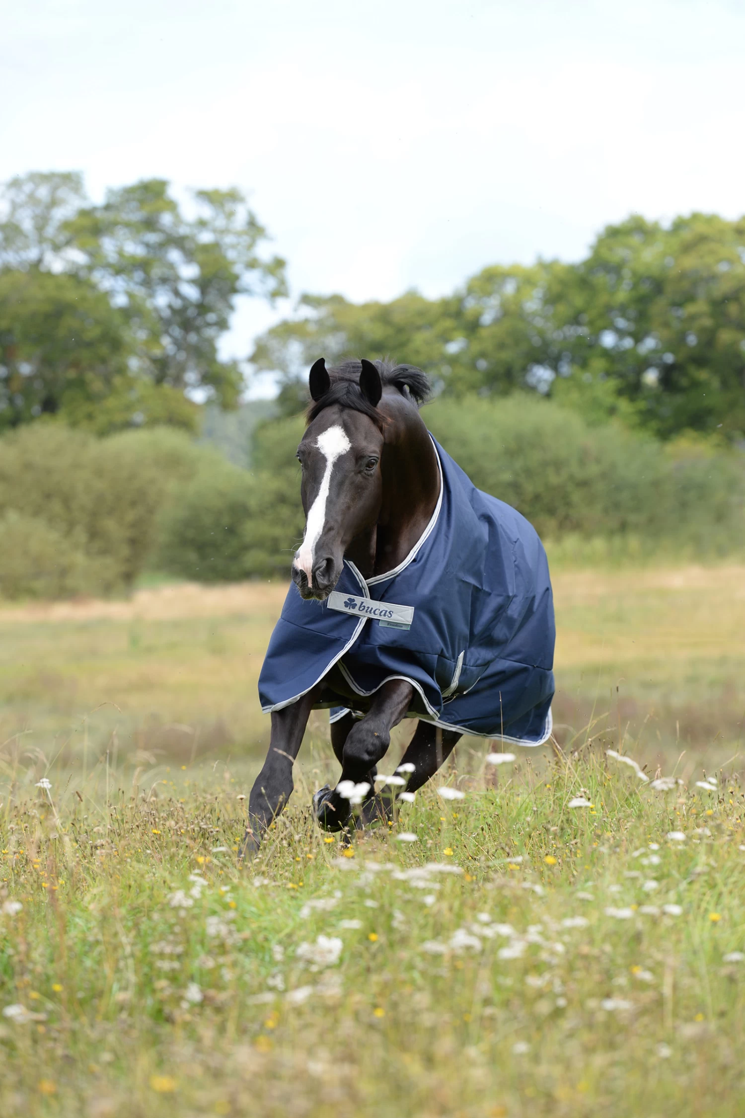Bucas Freedom Foals Turnout Rug, 300g - Image 3