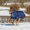 Bucas Freedom Turnout Full Neck Blanket 150g(blanket)/150g(neck)