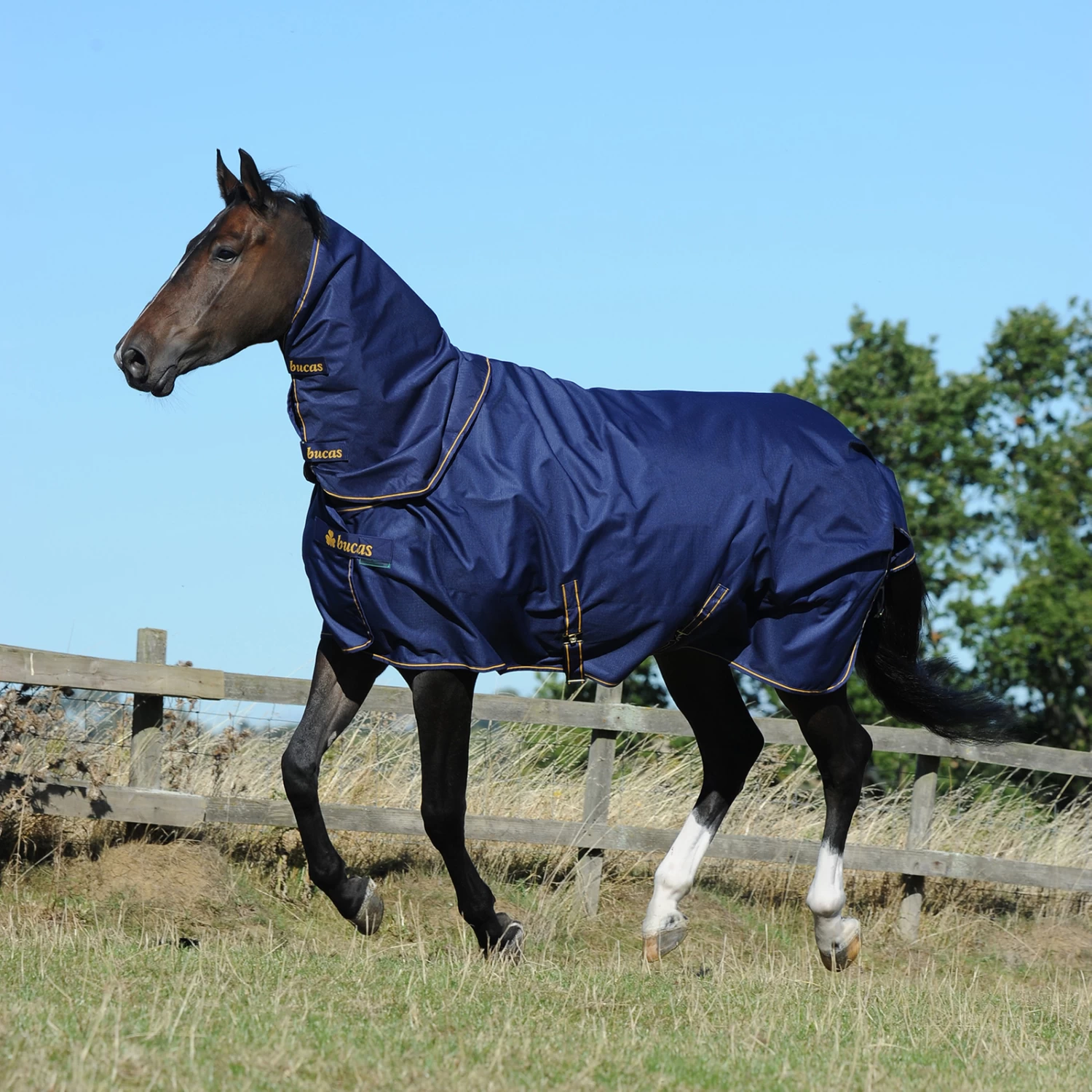 Bucas Irish Combi Neck 300g - Image 2