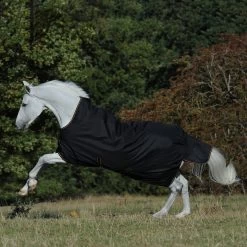 Bucas Irish Turnout Rug With High Neck, 300g