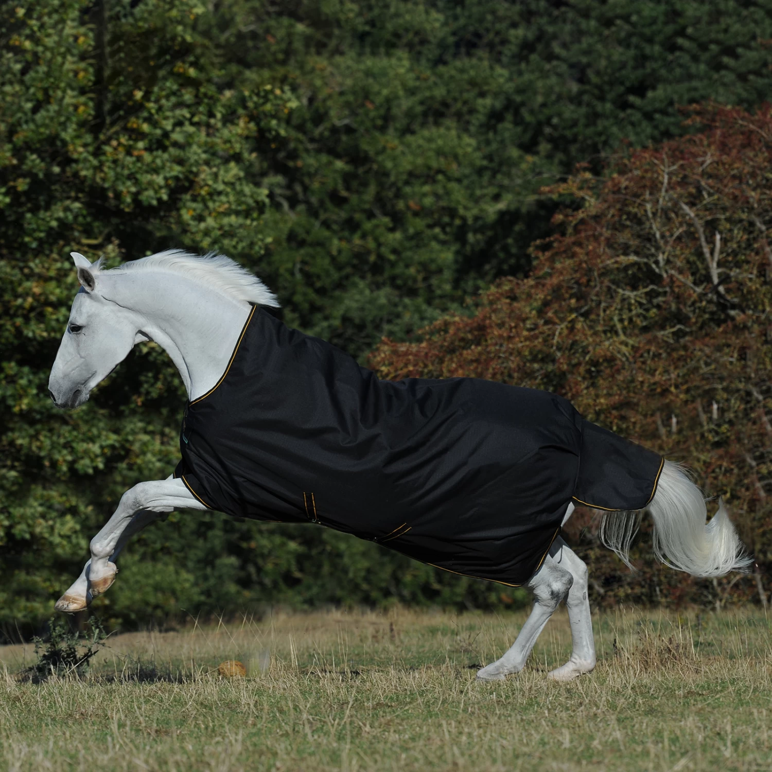 Bucas Irish Turnout Rug With High Neck, 300g