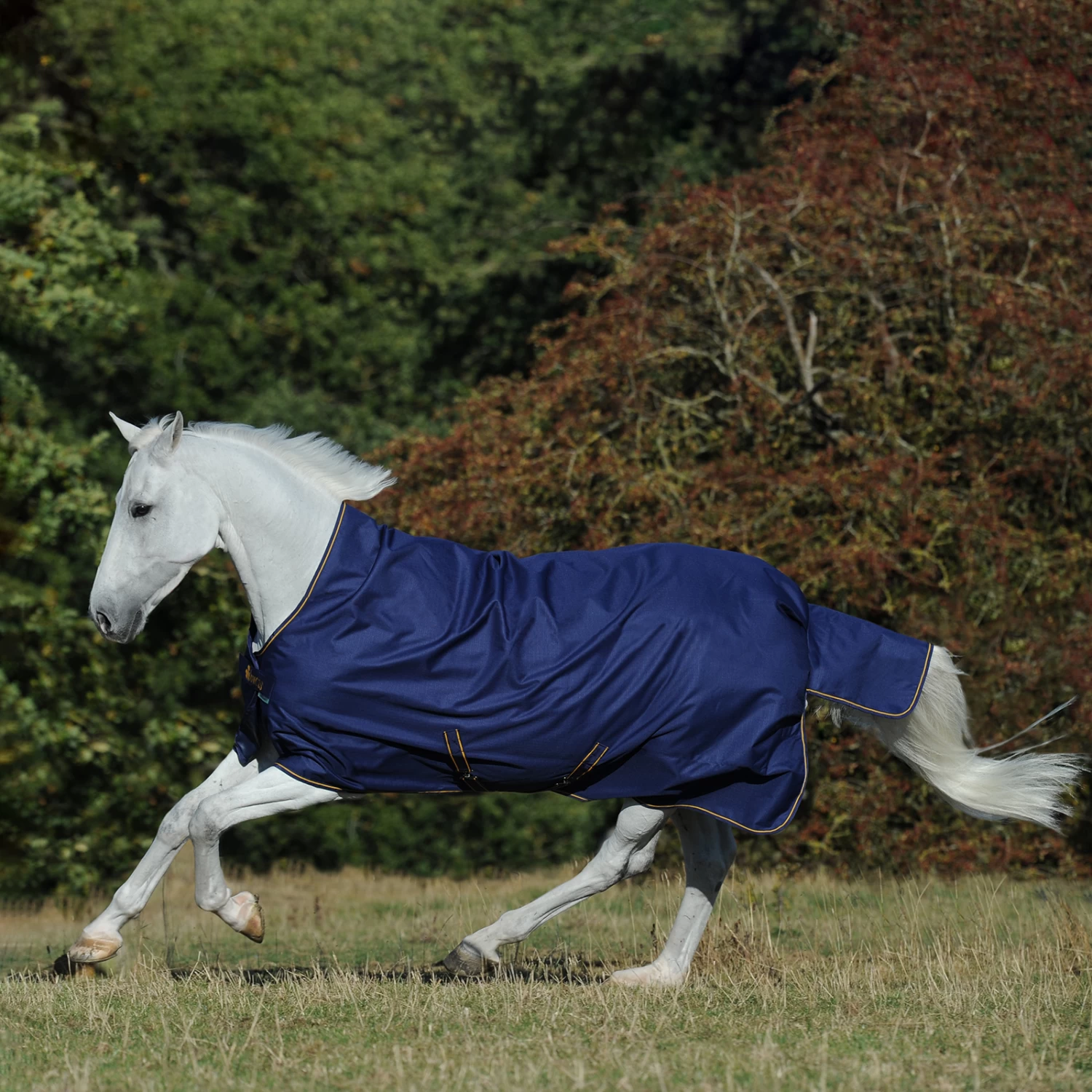 Bucas Irish Turnout Rug With High Neck, 300g - Image 2