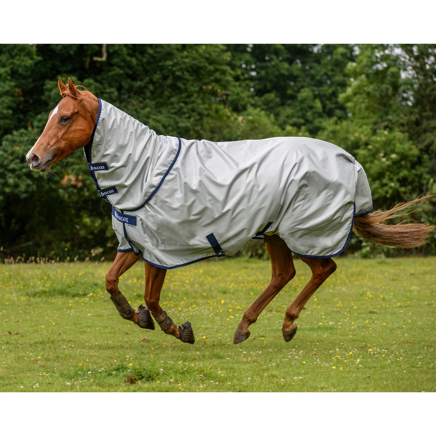 Bucas Power Combi Neck 300g