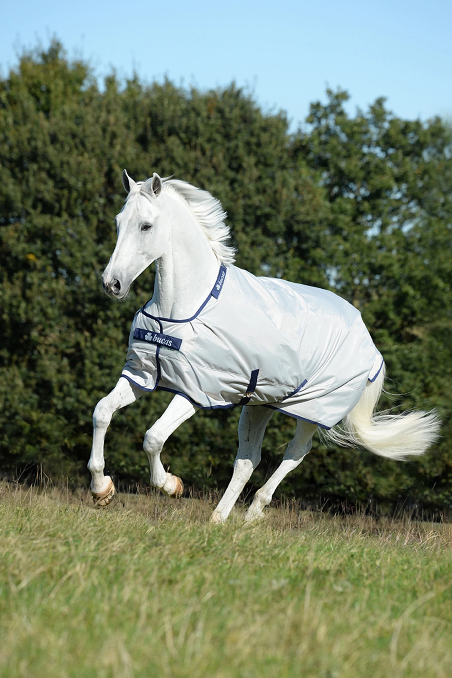 Bucas Sun Shower Turnout Rug, 0g