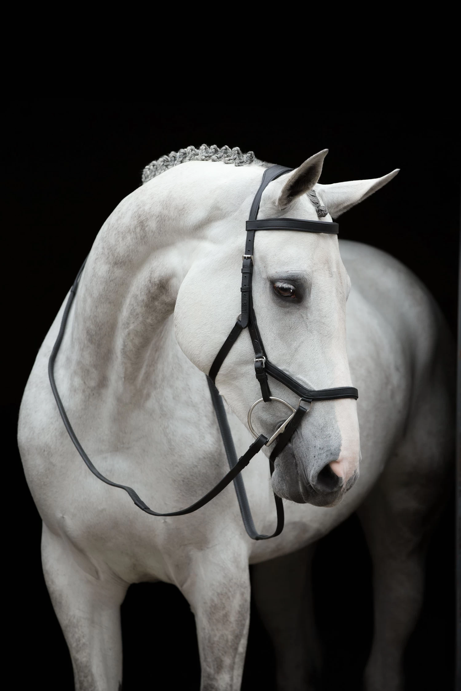 Horseware Rambo Micklem Competition Bridle