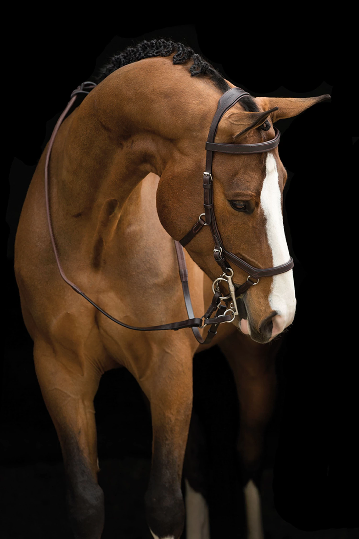 Horseware Rambo Micklem Competition Bridle - Image 2