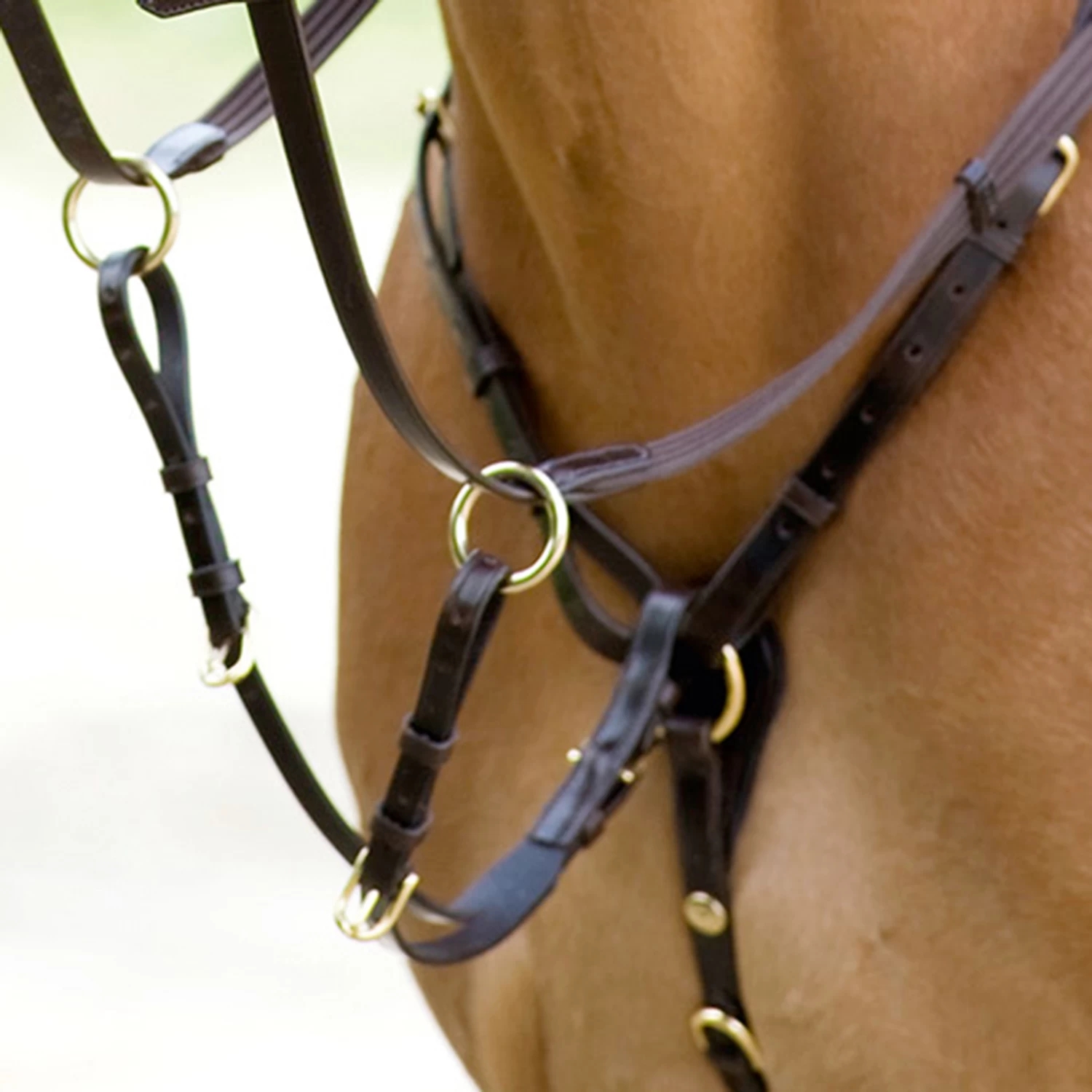 Schockemöhle Race II, Breastplate Basic - Image 2