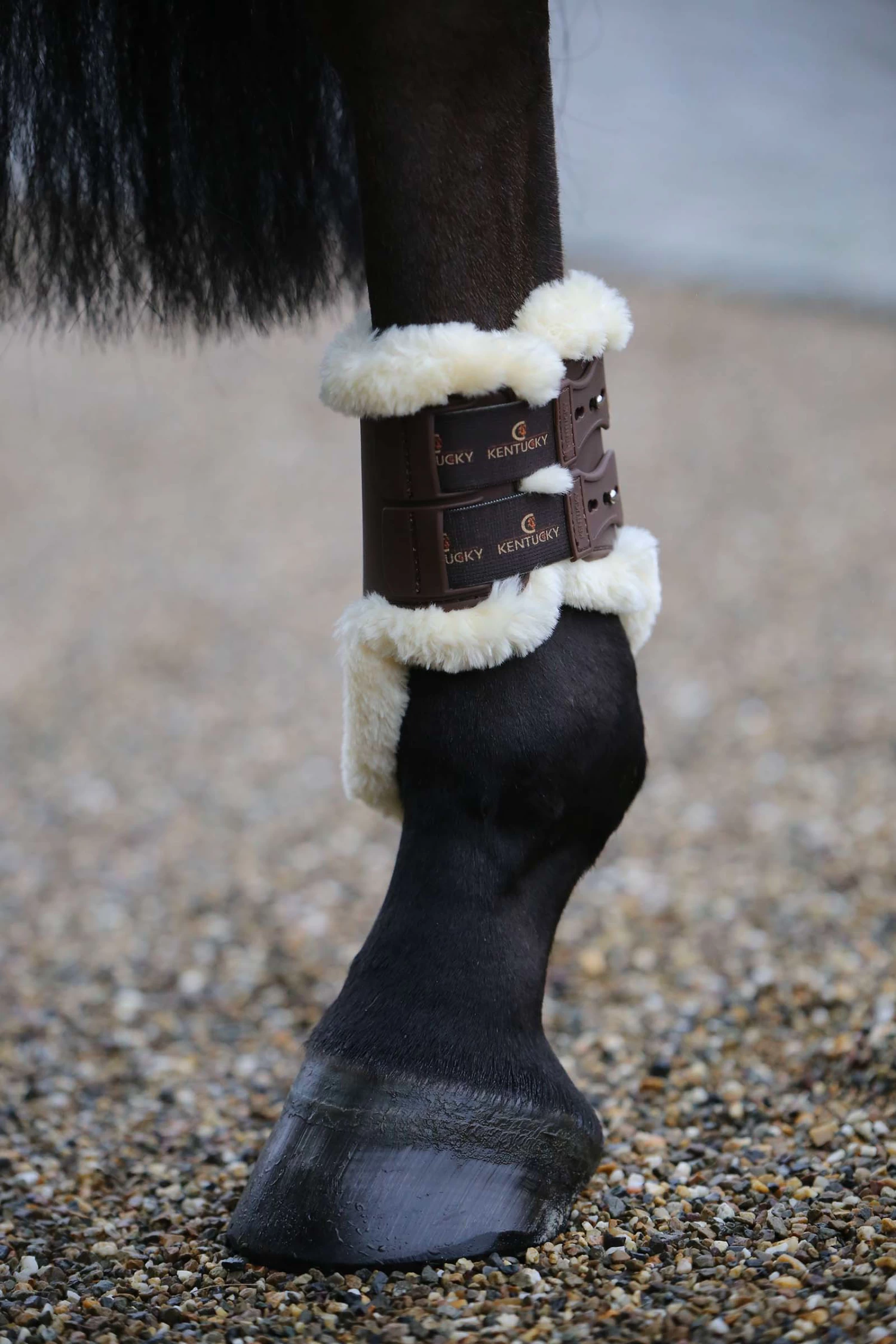 Kentucky Horsewear Sheepskin Fetlock Boots Elastic - Image 4