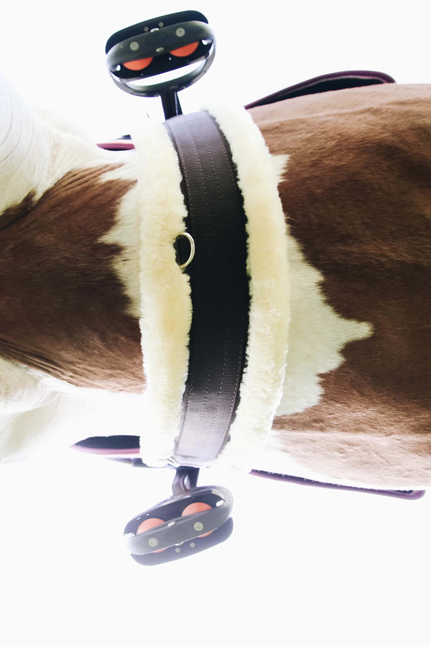 Kentucky Horsewear Sheepskin Girth - Image 9