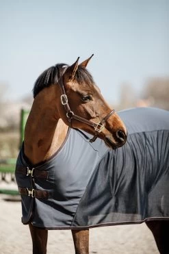 Kentucky Horsewear Softshell Cooler