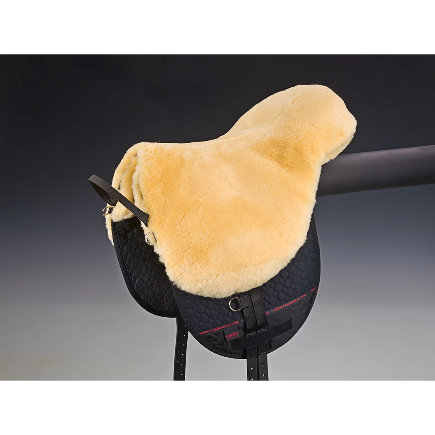 Christ Bareback Riding Basic Plus, SH - Image 3