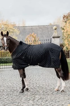 Kentucky Horsewear Stable Rug, 0g