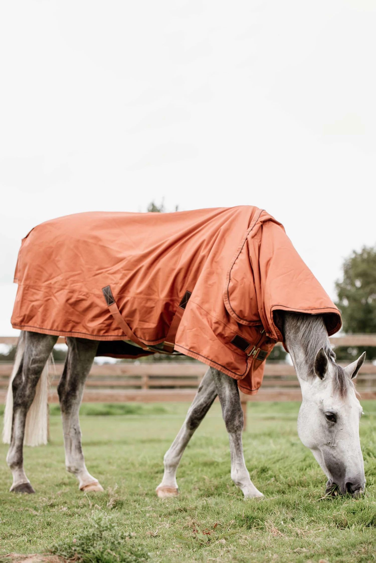 Kentucky Horsewear All Weather Turnout Rug, 160g - Image 10