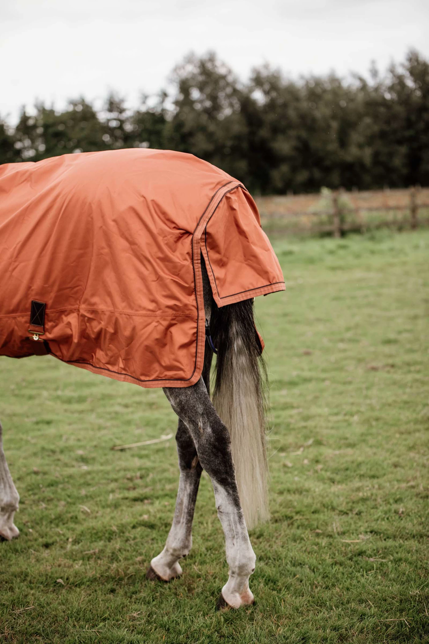 Kentucky Horsewear All Weather Turnout Rug, 160g - Image 15