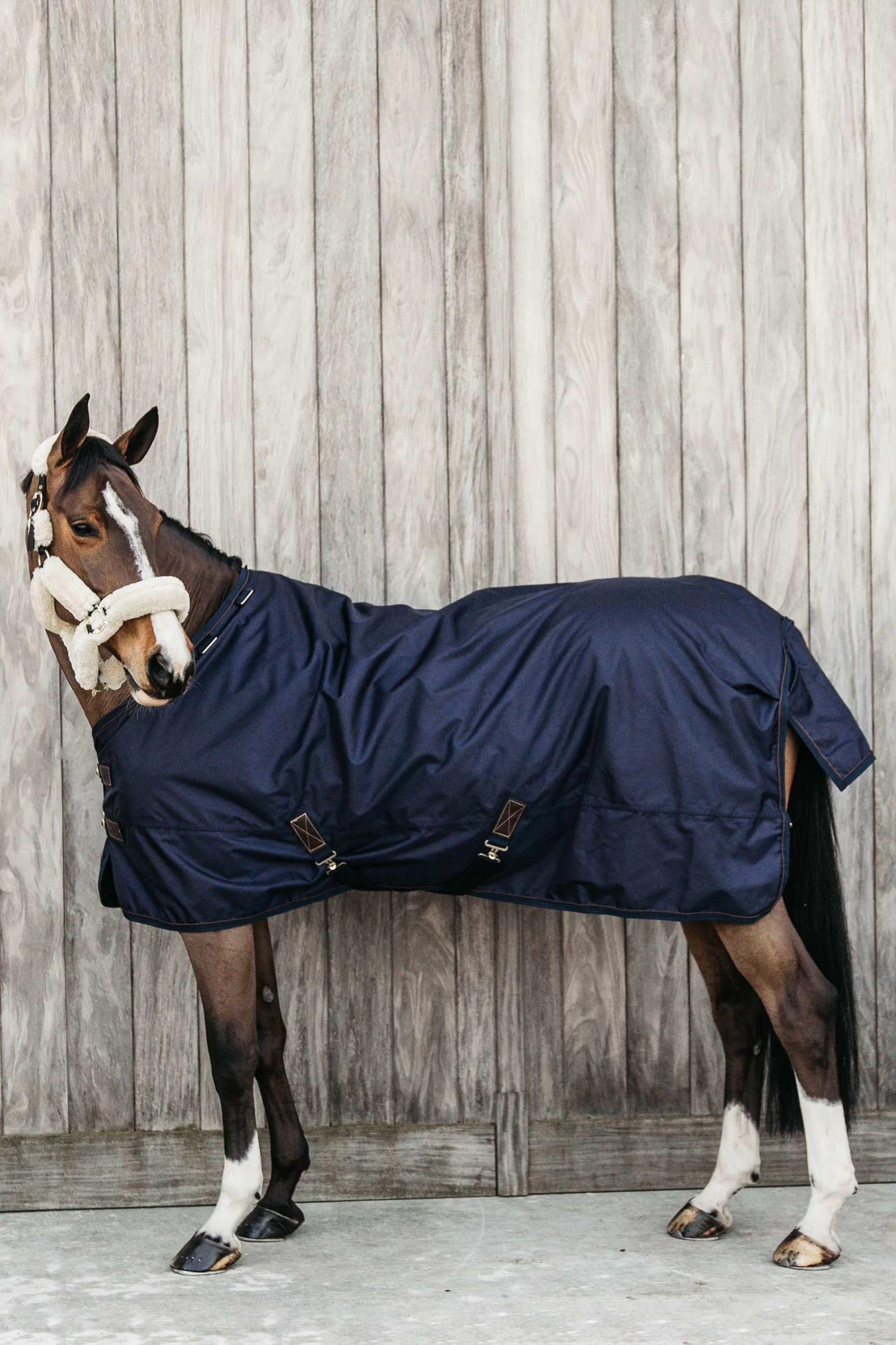 Kentucky Horsewear All Weather Turnout Rug, 160g - Image 16