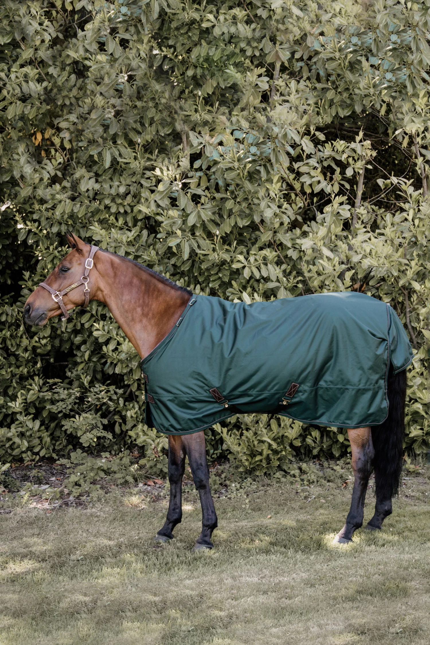 Kentucky Horsewear All Weather Turnout Rug, 160g