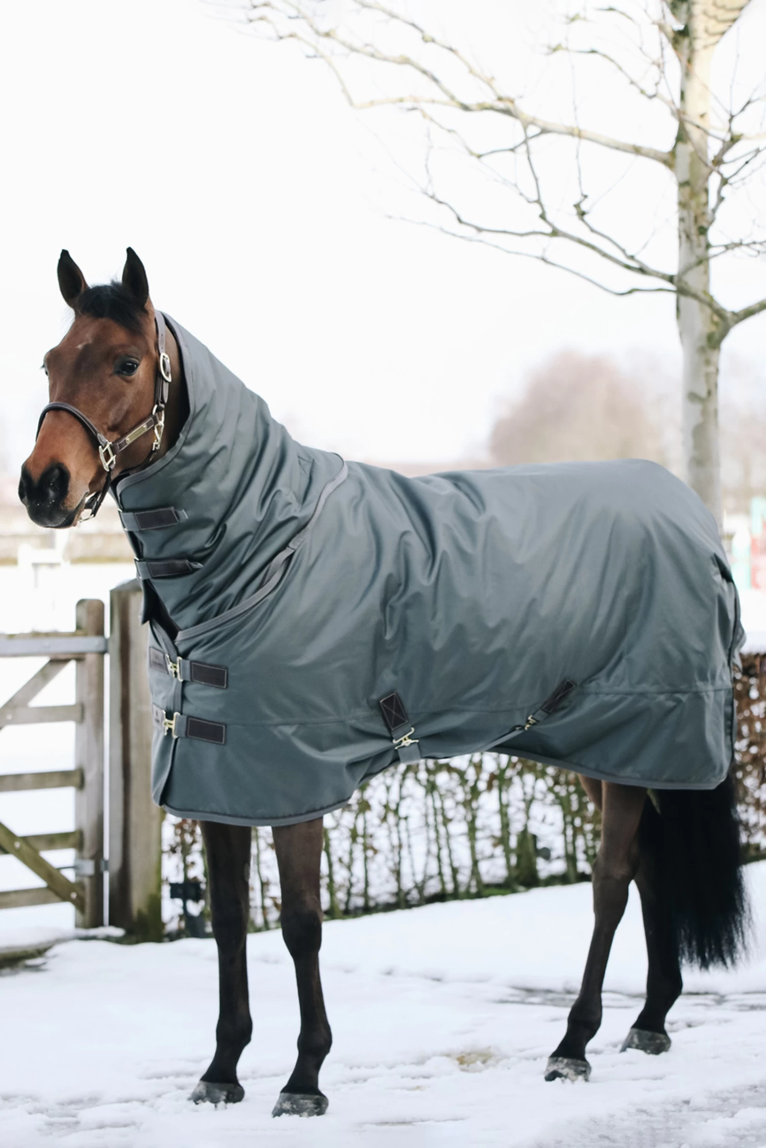 Kentucky Horsewear All Weather Turnout Rug, 160g - Image 5