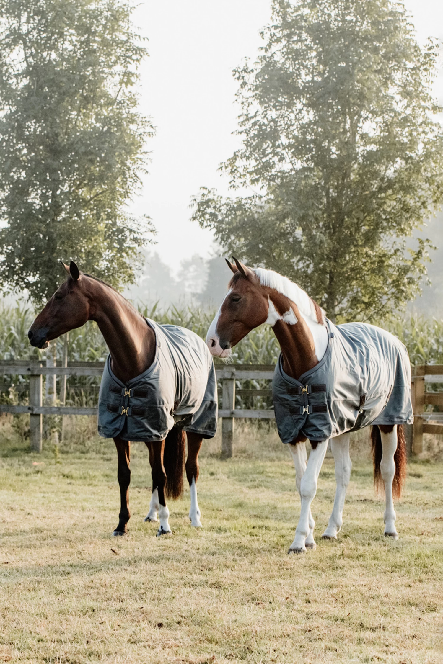 Kentucky Horsewear All Weather Turnout Rug, 160g - Image 6