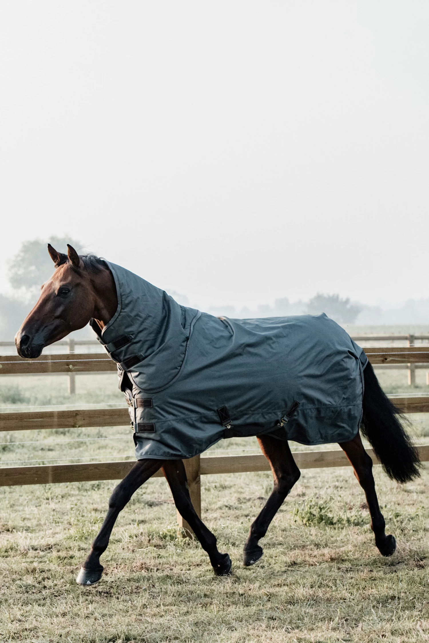 Kentucky Horsewear All Weather Turnout Rug, 160g - Image 7