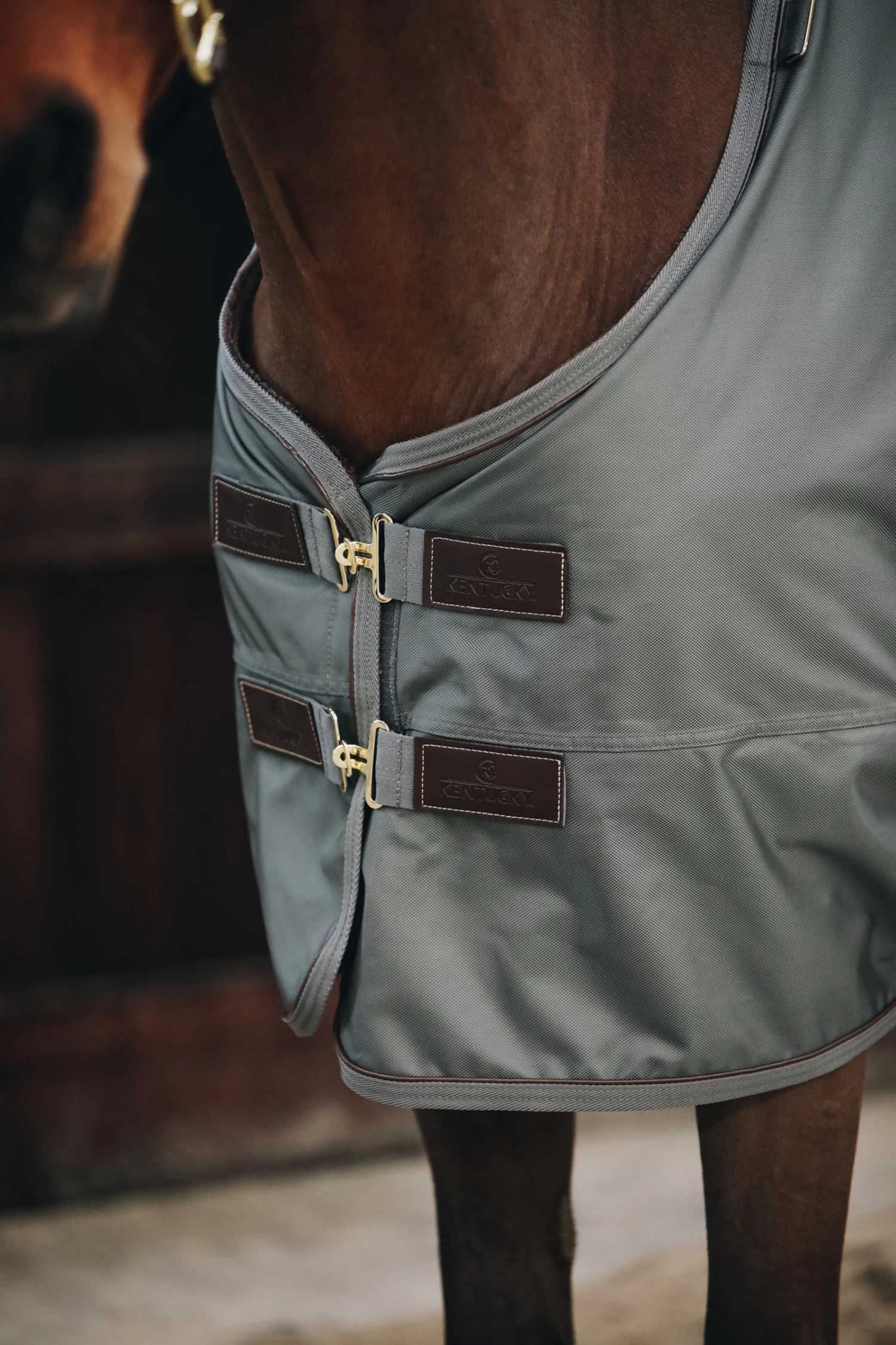 Kentucky Horsewear All Weather Turnout Rug, 160g - Image 8