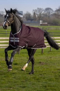 Horseware Amigo Hero Ripstop Turnout Rug With Fleece Lining, 50g