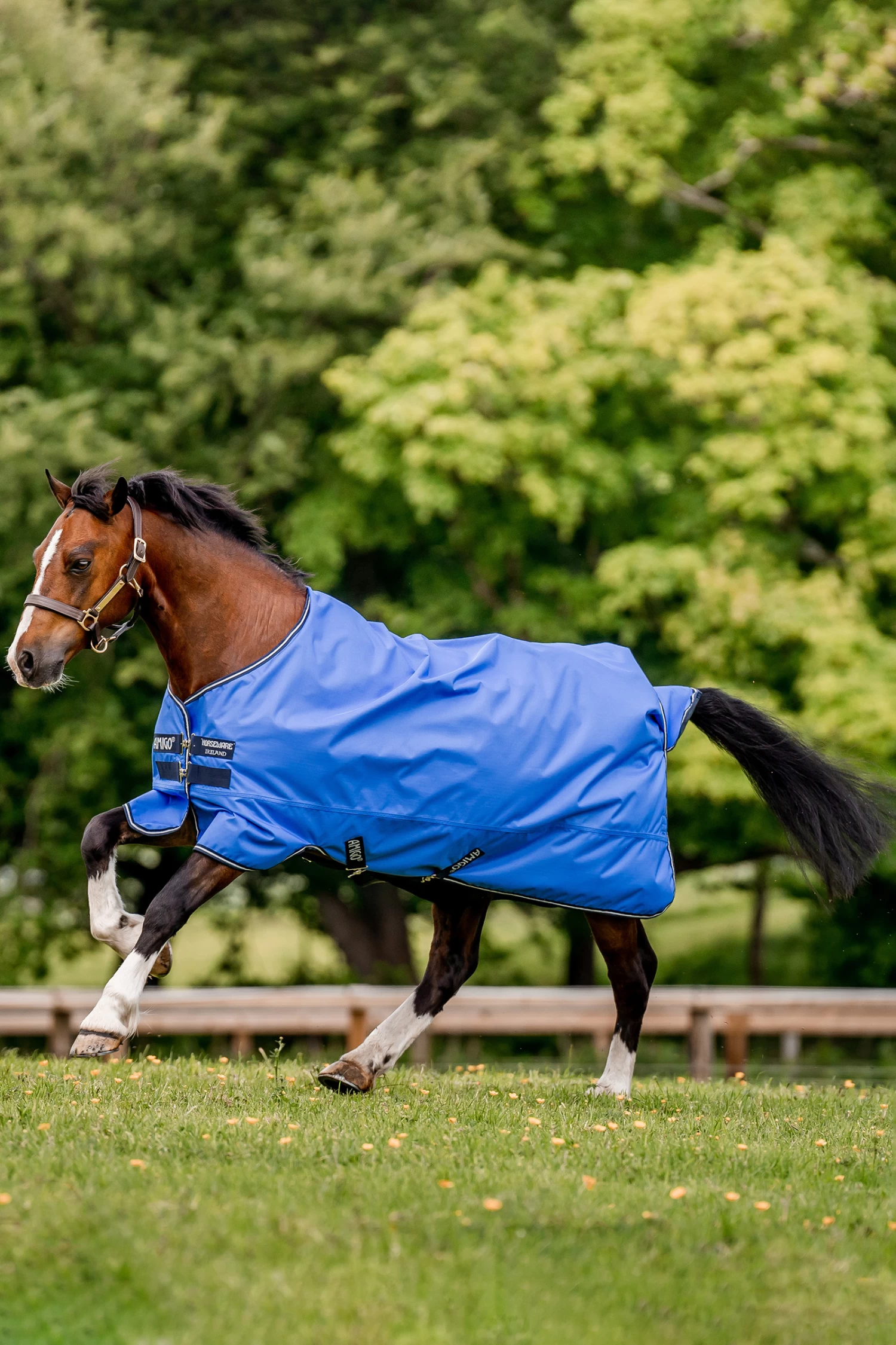 Horseware Amigo Hero Ripstop Turnout Rug, 0g - Image 3