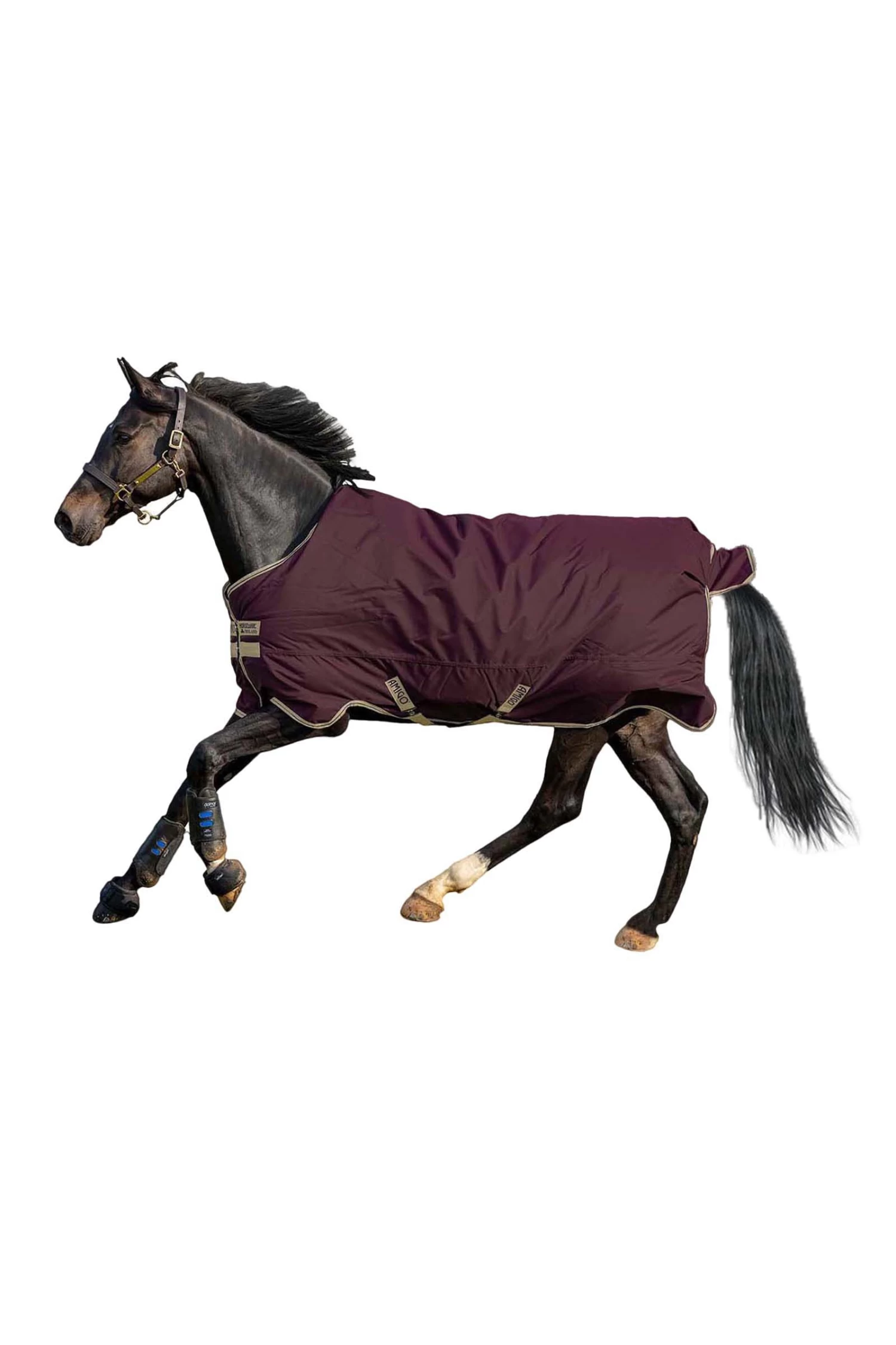 Horseware Amigo Hero Ripstop Turnout Rug, 0g - Image 2