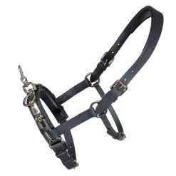 Karlslund Fengur Kapsun